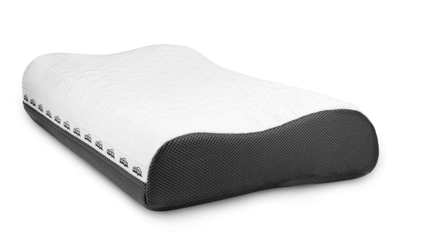 Biohealing Pillow