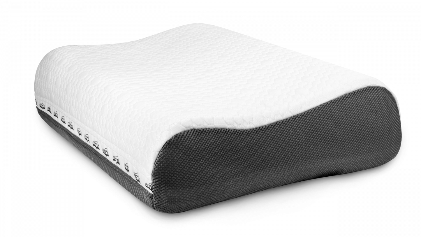 Biohealing Pillow